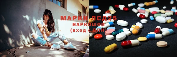 PSILOCYBIN Алексеевка