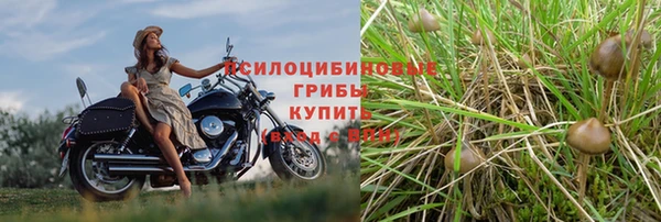 PSILOCYBIN Алексеевка