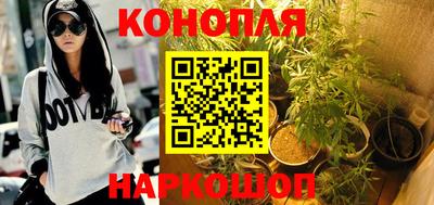 мет Можга