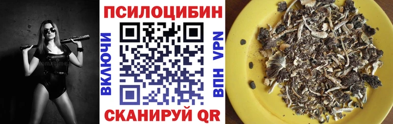 Галлюциногенные грибы мухоморы  закладка  Чусовой 