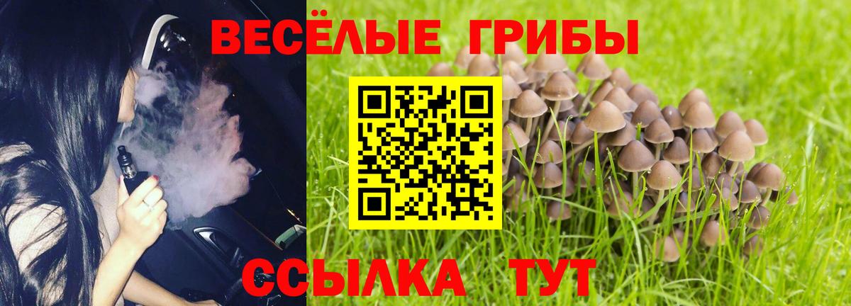 Псилоцибиновые грибы прущие грибы Чусовой