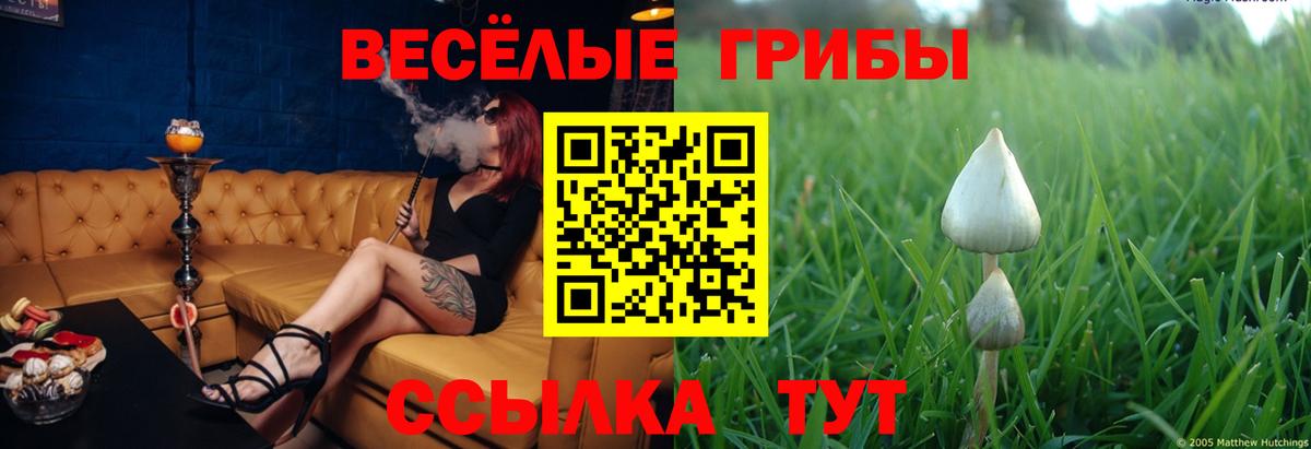 Галлюциногенные грибы Cubensis  Псилоцибиновые грибы ЛСД  Чусовой  Вход с VPN 